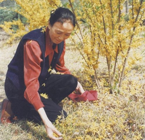 李玲：夢想的殿堂