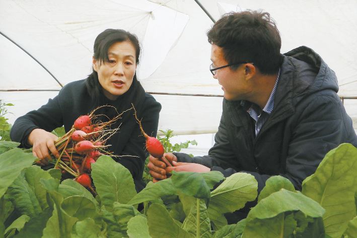 做“良心農業”