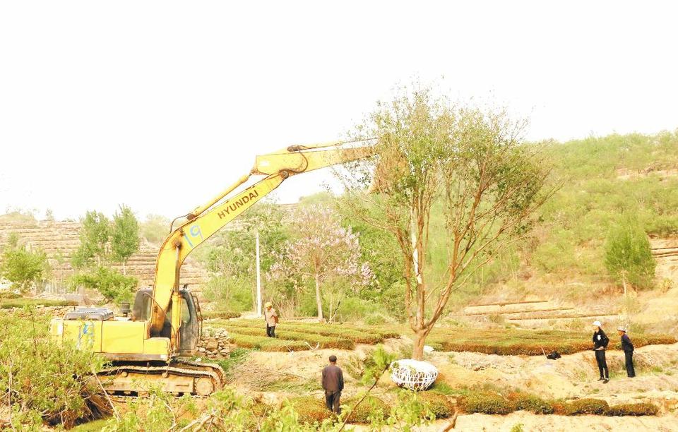 打好“生態牌”助力鄉村振興