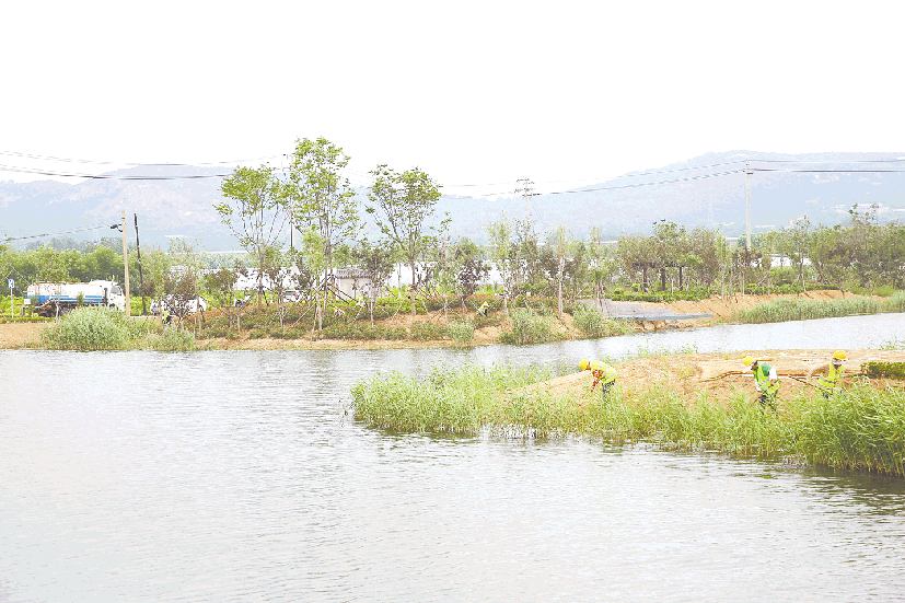 美麗鄉村建設助力鄉村振興