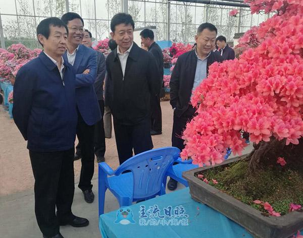 齊家濱：加快推進旅游之城活力之城建設