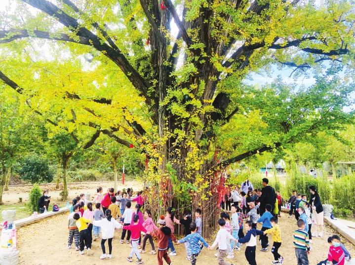 “狀元故里銀杏樹(shù)下”