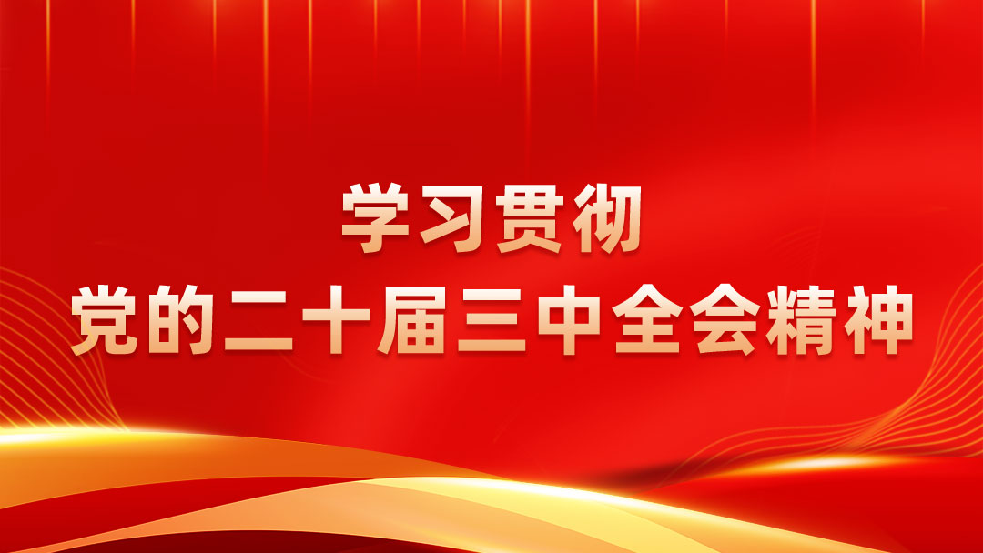 學習宣傳貫徹黨的二十屆三中全會精神