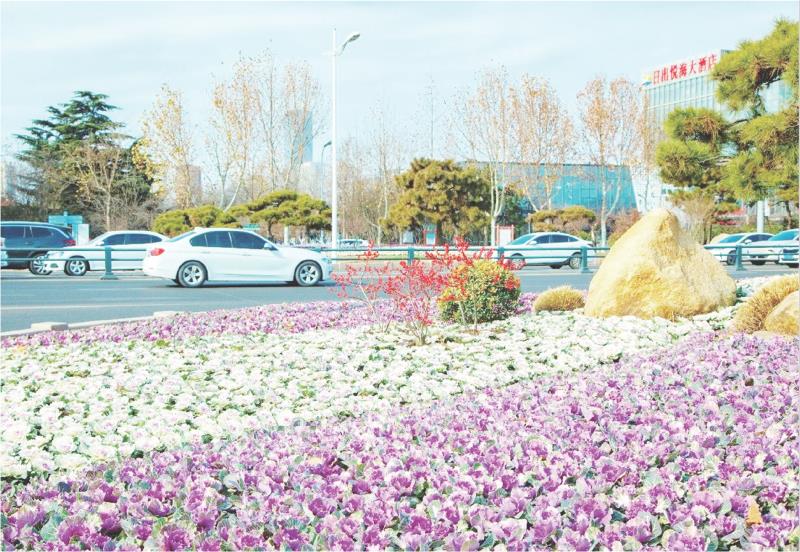 冬日添彩正當時